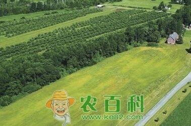山東濱州高效生態(tài)農(nóng)業(yè)建設(shè) 農(nóng)業(yè)技術(shù)開發(fā)引領(lǐng)綠色轉(zhuǎn)型