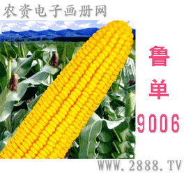 河南原陽航信農(nóng)業(yè)科技開發(fā)推廣中心 驅(qū)動(dòng)農(nóng)業(yè)技術(shù)創(chuàng)新的引擎